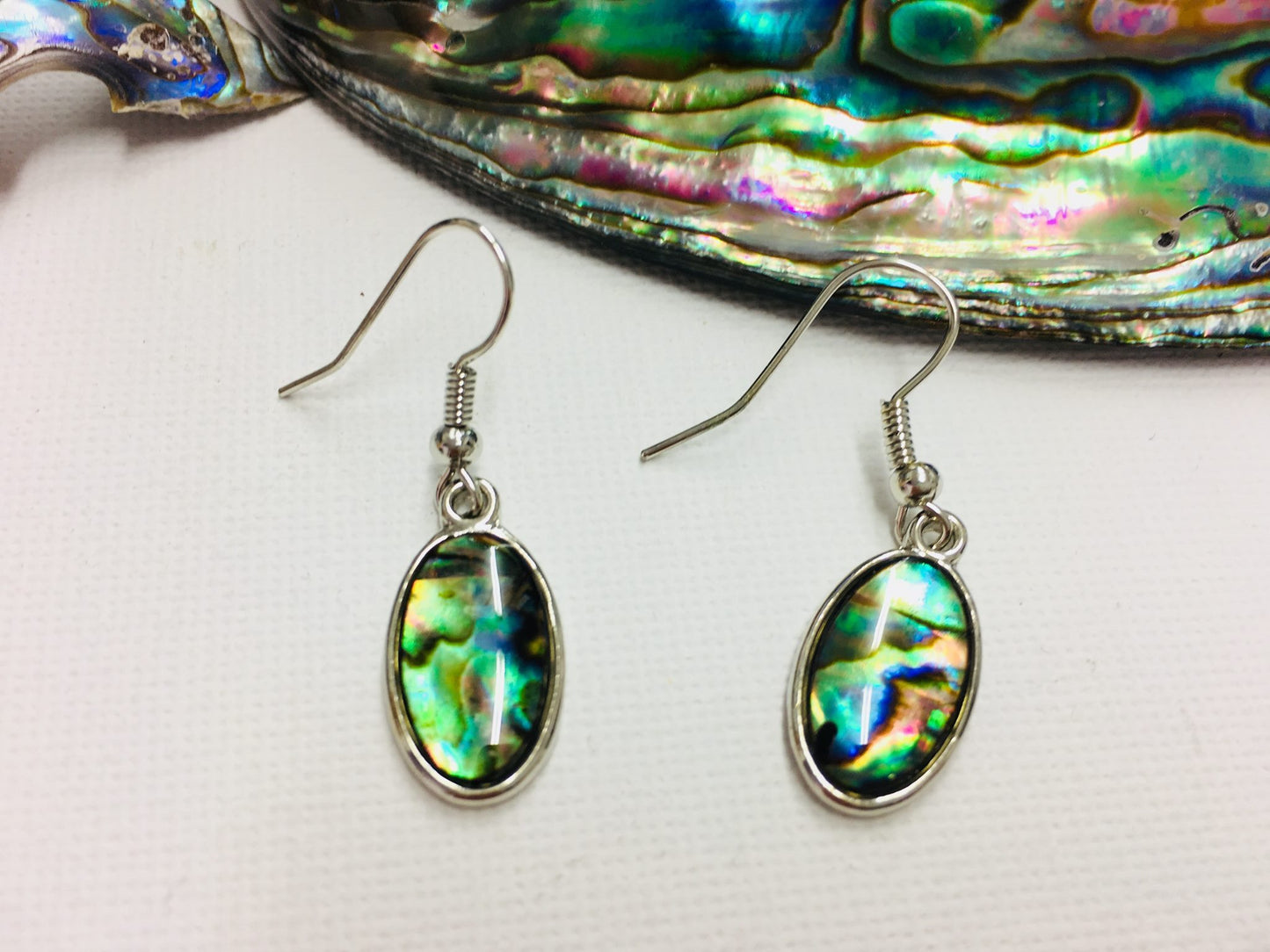 Paua Shell Small Earrings Oval